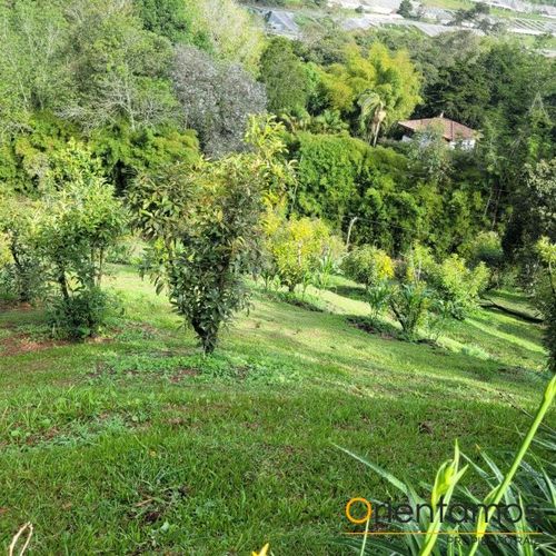 Finca en  Venta en El carmen de viboral - Miniatura 20