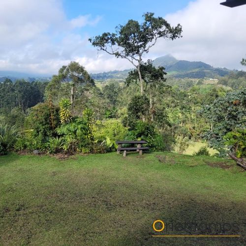 Finca en  Venta en El carmen de viboral - Miniatura 21