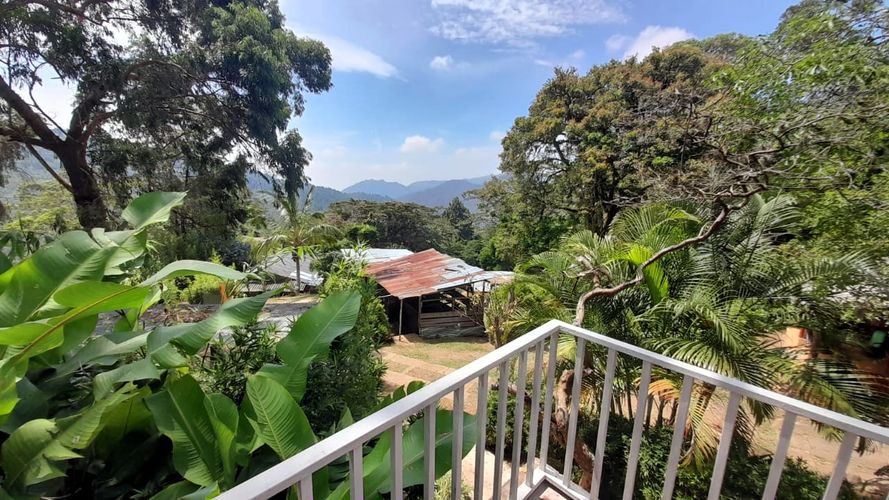 Finca en  Venta en Cali - Miniatura 19