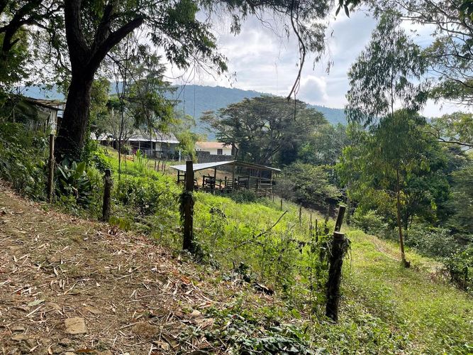 Finca en  Venta en Cali - Miniatura 28