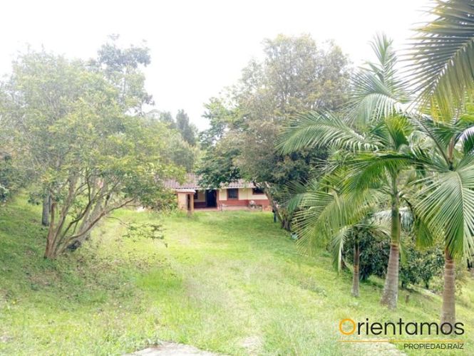 Finca en  Arriendo en San antonio, Rionegro - Miniatura 22