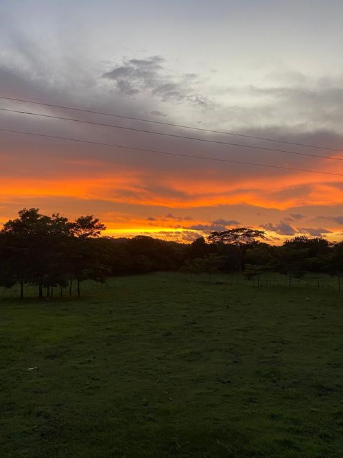 Finca en Venta en Coveñas - Miniatura 6