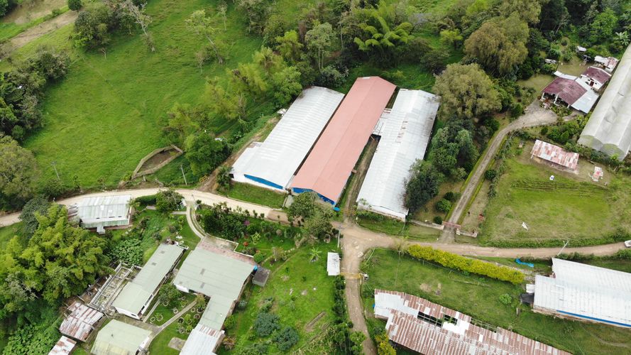 Finca en Venta en Victoria alta, Silvania - Miniatura 2