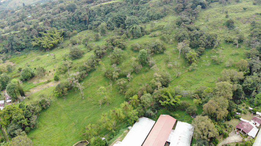 Finca en Venta en Victoria alta, Silvania - Miniatura 3