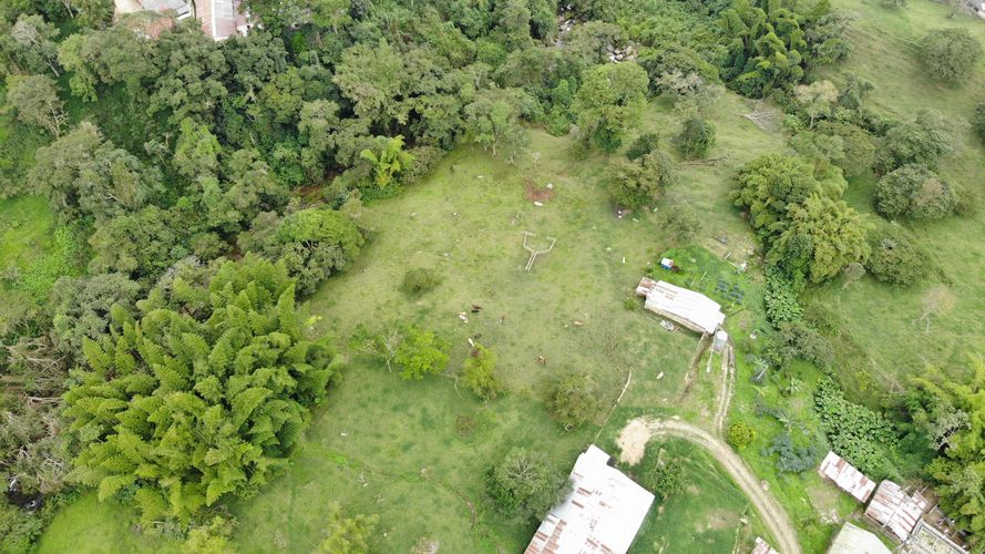 Finca en Venta en Victoria alta, Silvania - Miniatura 4