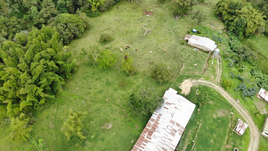 Finca en Venta en Victoria alta, Silvania - Miniatura 5