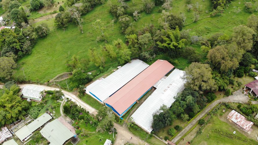 Finca en Venta en Victoria alta, Silvania - Miniatura 7