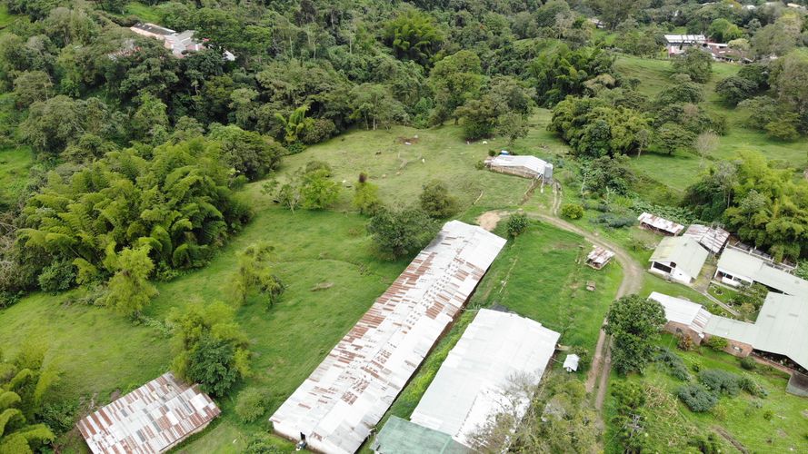 Finca en Venta en Victoria alta, Silvania - Miniatura 9