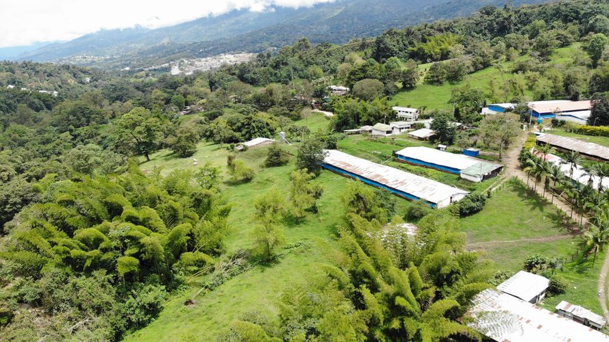Finca en Venta en Victoria alta, Silvania - Miniatura 16
