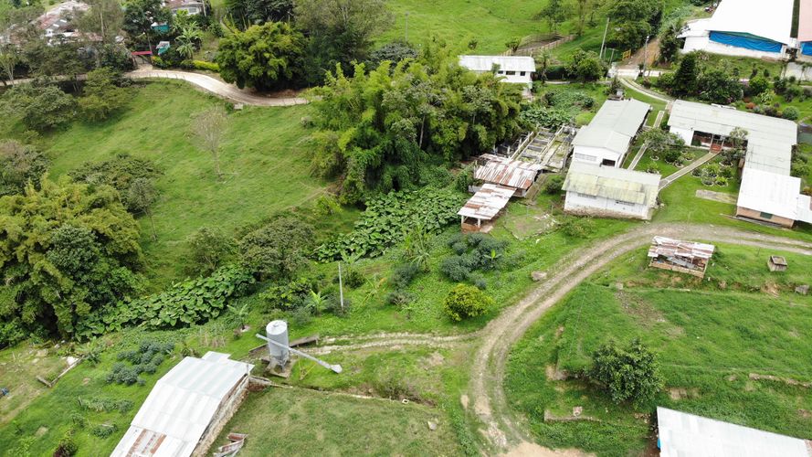 Finca en Venta en Victoria alta, Silvania - Miniatura 18
