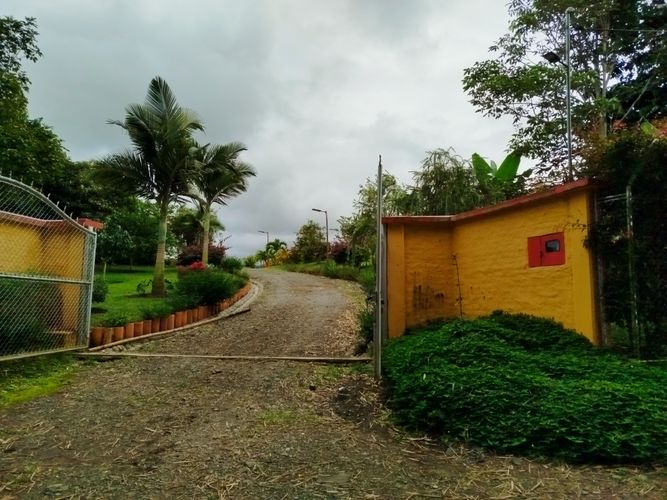 Finca en Arriendo en Borrero ayerbe, Dagua - Miniatura 2
