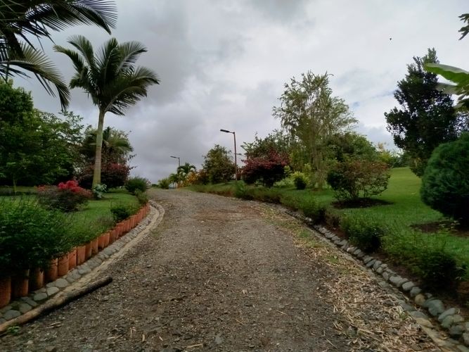 Finca en Arriendo en Borrero ayerbe, Dagua - Miniatura 24