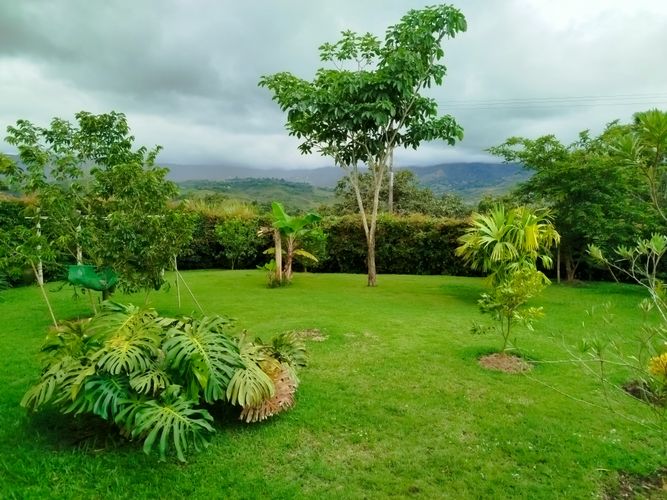 Finca en Arriendo en Borrero ayerbe, Dagua - Miniatura 26