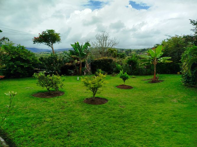 Finca en Arriendo en Borrero ayerbe, Dagua - Miniatura 27
