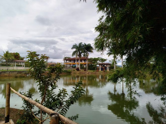 Finca en Arriendo en Borrero ayerbe, Dagua - Miniatura 28