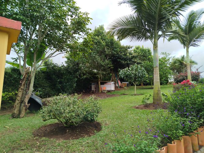 Finca en Arriendo en Borrero ayerbe, Dagua - Miniatura 29