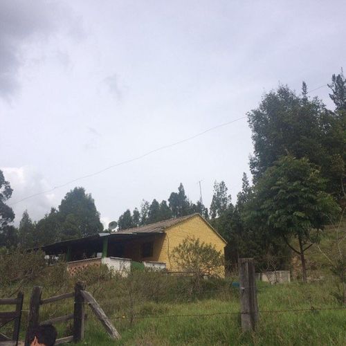 Finca en  Venta en Carmen de carupa - Miniatura 4