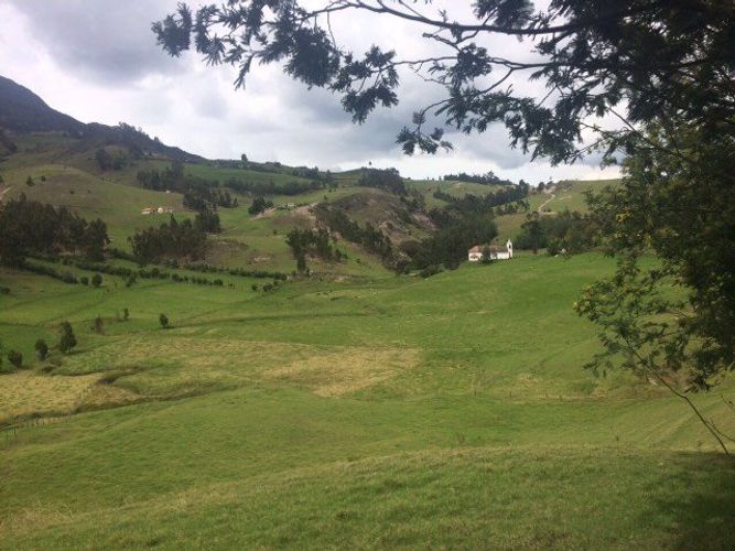 Finca en  Venta en Carmen de carupa - Miniatura 6