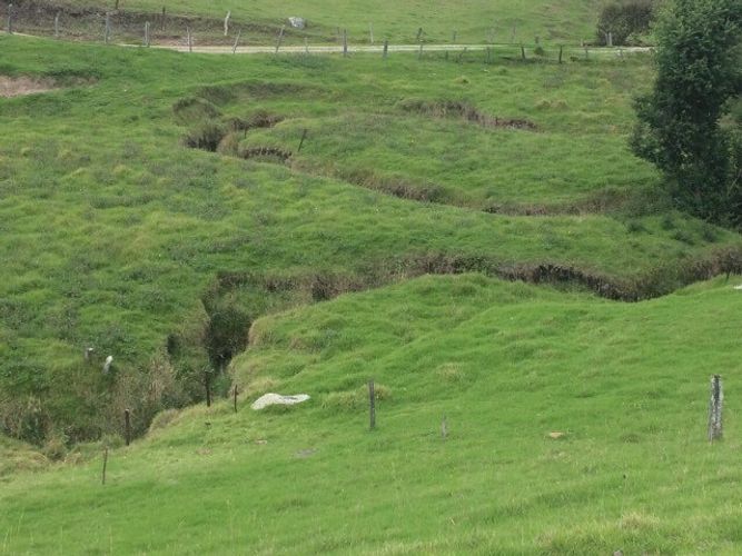 Finca en  Venta en Carmen de carupa - Miniatura 8