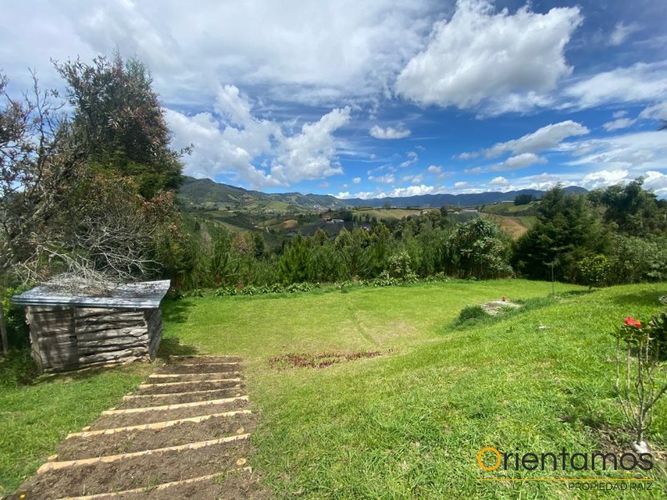 Finca en Arriendo en El carmen de viboral - Miniatura 4