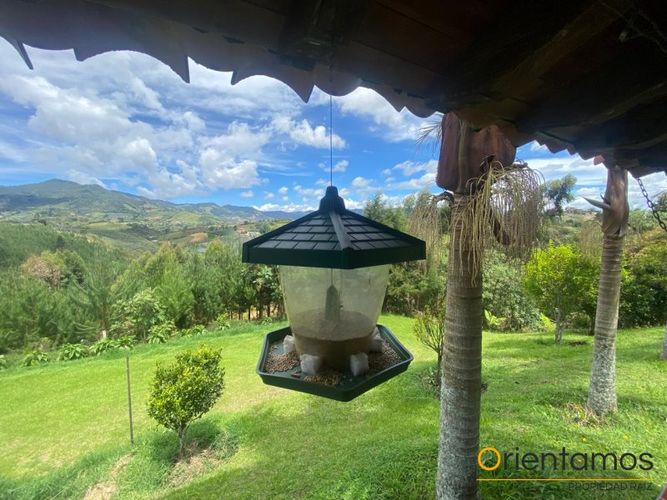 Finca en Arriendo en El carmen de viboral - Miniatura 8