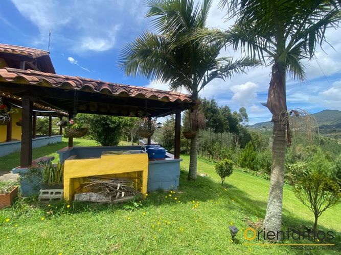 Finca en Arriendo en El carmen de viboral - Miniatura 9