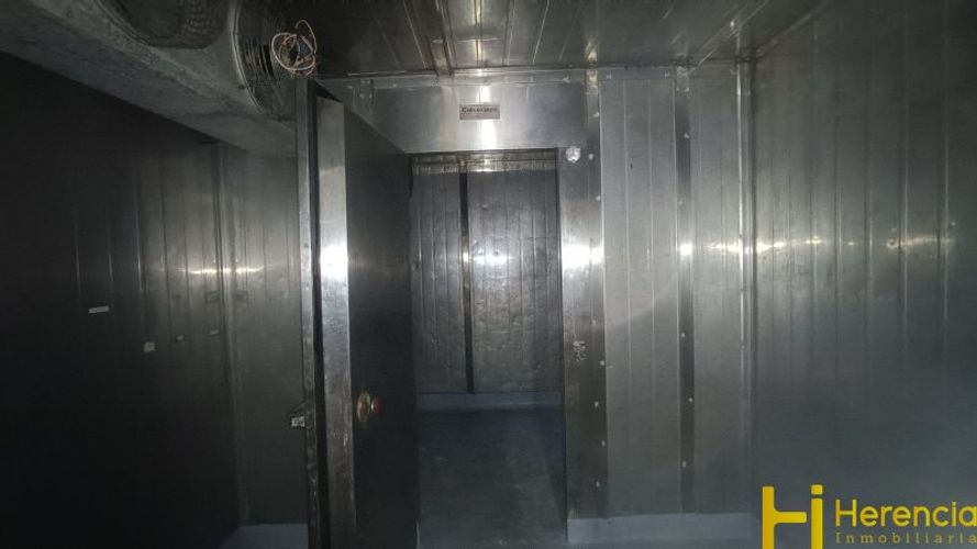 Local en  Arriendo en Laureles, Medellín - Miniatura 22