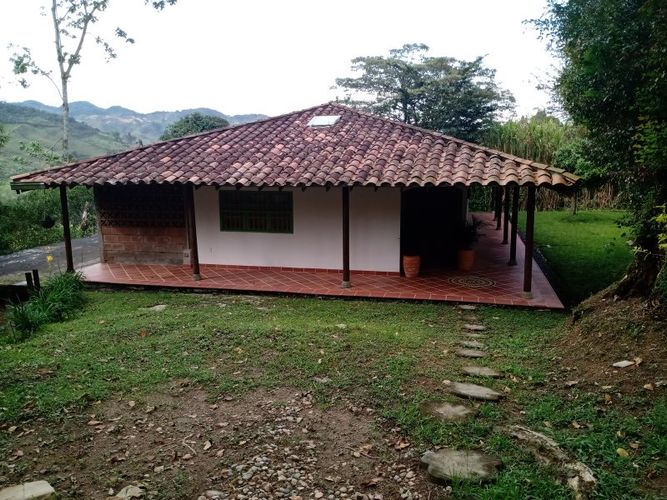 Finca en venta en Arango, Concepcion - Miniatura 2