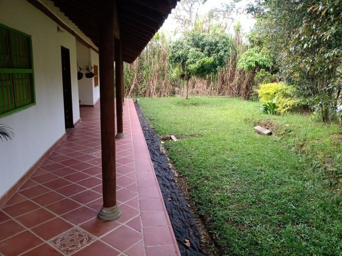 Finca en venta en Arango, Concepcion - Miniatura 3