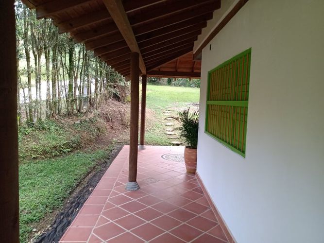 Finca en venta en Arango, Concepcion - Miniatura 4