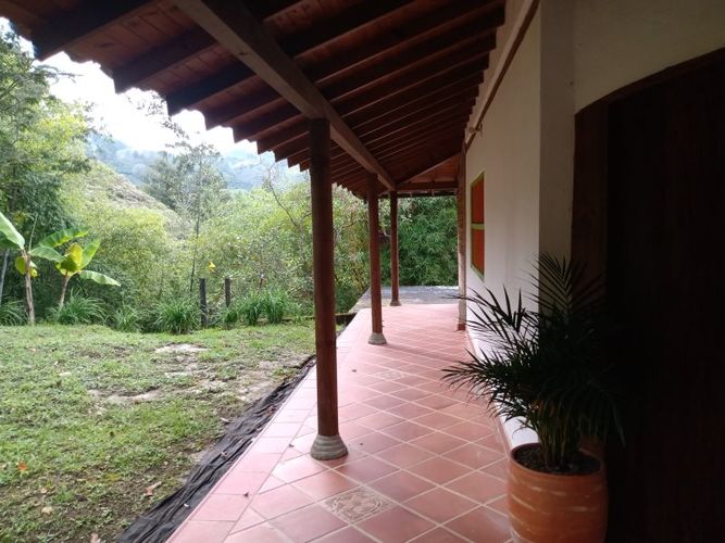 Finca en venta en Arango, Concepcion - Miniatura 5