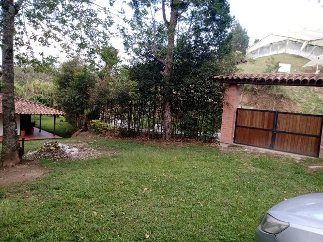 Finca en venta en Arango, Concepcion - Miniatura 6