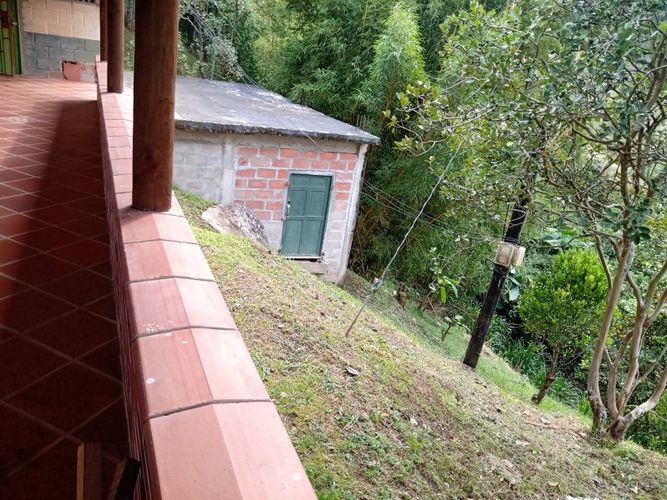 Finca en venta en Arango, Concepcion - Miniatura 8