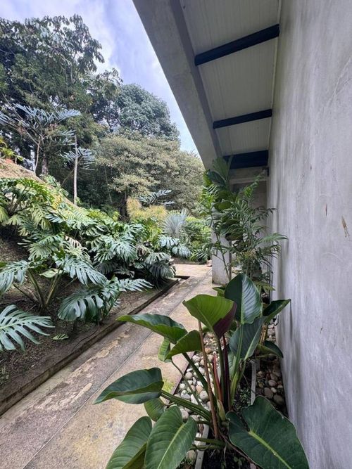 Finca en Arriendo en Loma del Escobero, Envigado - Miniatura 12