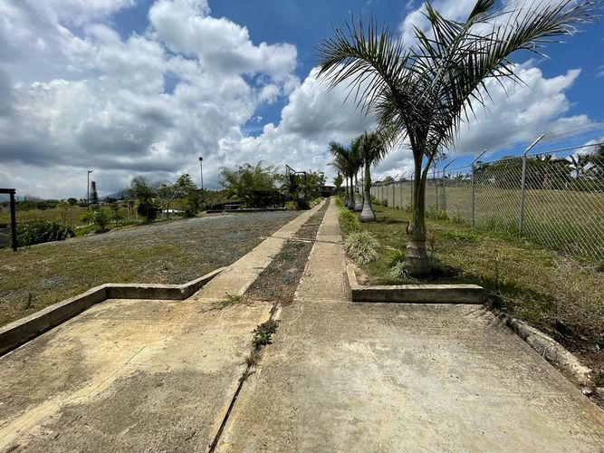 Finca en Venta en San bernardo, Dagua - Miniatura 22