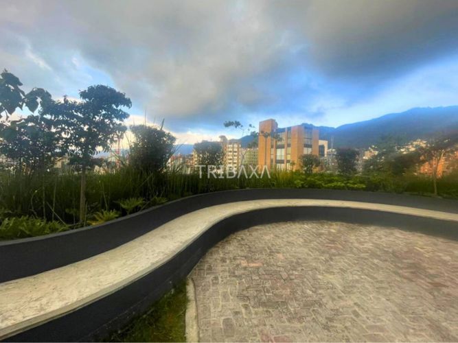 Apartaestudio en Arriendo en El nogal, Bogotá - Miniatura 23