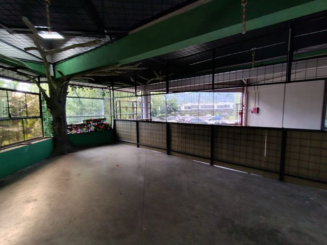 Local en Arriendo en Conjunto Cerrado Zapan, Dosquebradas - Miniatura 3