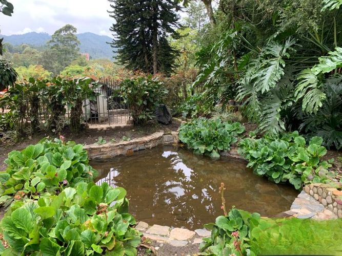 Finca en Venta en Don diego, El Retiro - Miniatura 6