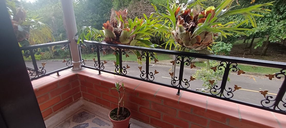 Casa en Venta en La doctora, Sabaneta - Miniatura 18