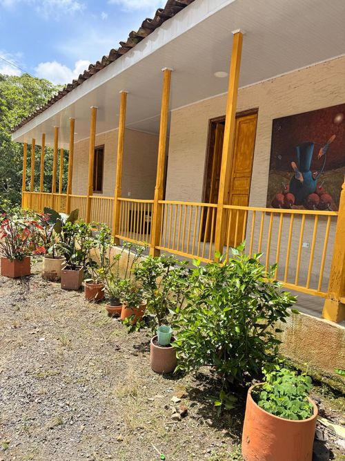 Finca en Venta en Combia, Pereira - Miniatura 3
