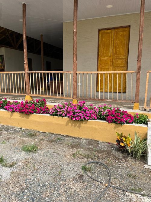 Finca en Venta en Combia, Pereira - Miniatura 17