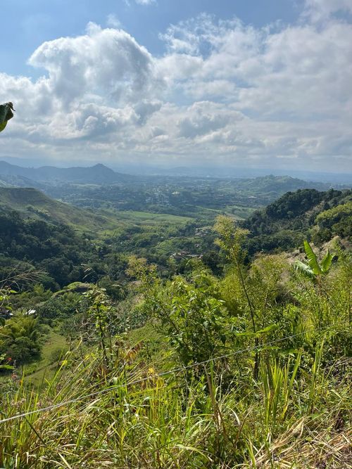 Finca en Venta en Combia, Pereira - Miniatura 19