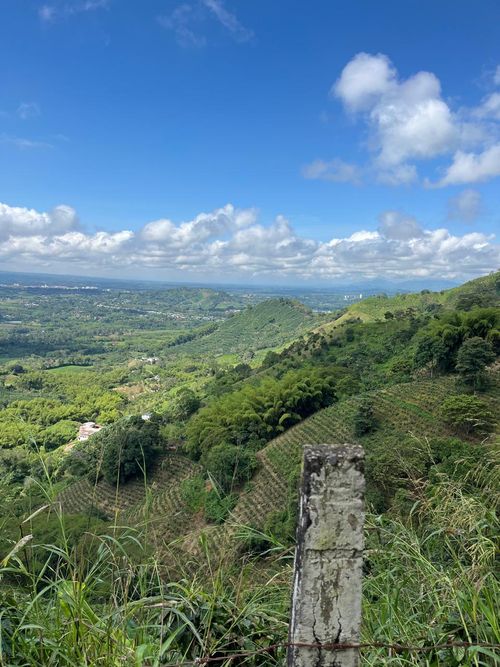 Finca en Venta en Combia, Pereira - Miniatura 22