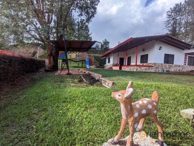 Finca en Arriendo en San antonio, Rionegro - Miniatura 2