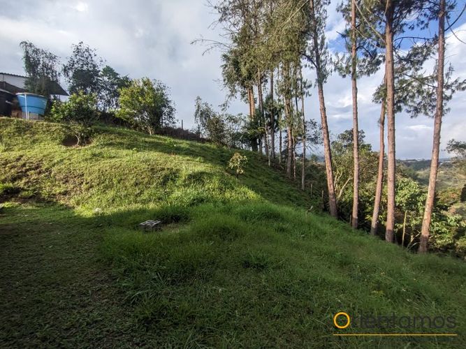 Finca en Arriendo en San antonio, Rionegro - Miniatura 13