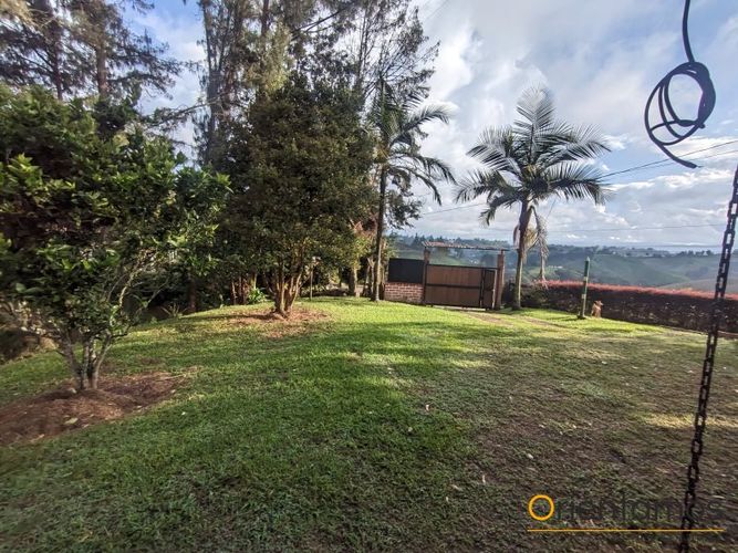 Finca en Arriendo en San antonio, Rionegro - Miniatura 15