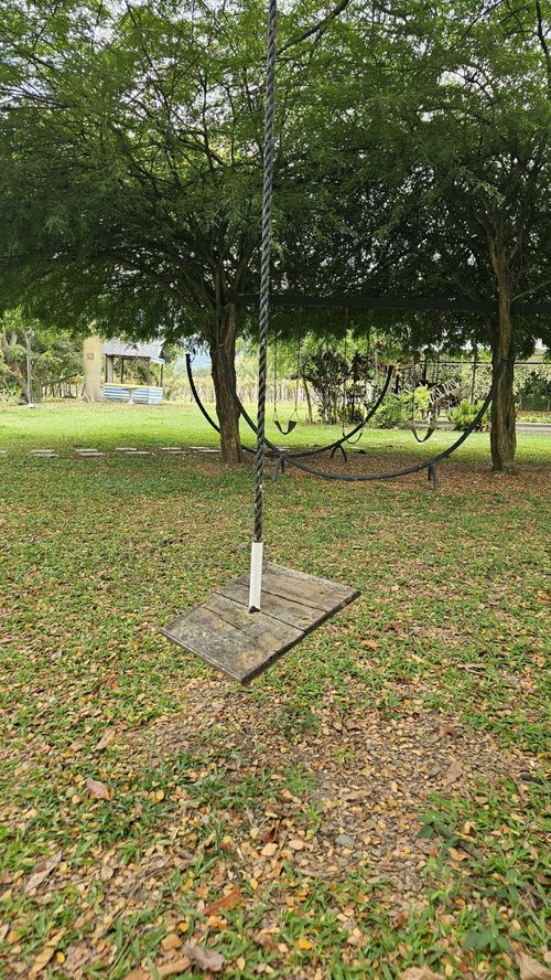 Finca en Arriendo en La selva, Ginebra - Miniatura 8