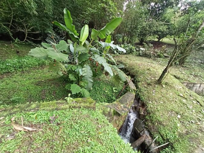 Finca en Venta en San antonio del tequendama - Miniatura 15