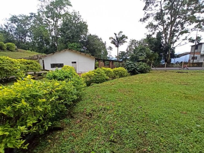 Finca en Venta en San antonio del tequendama - Miniatura 16