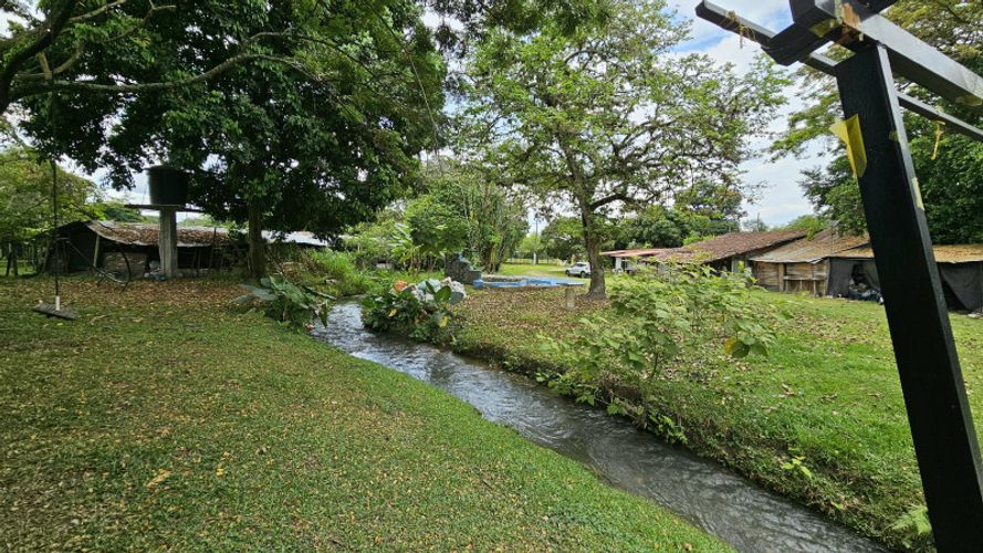 Finca en Arriendo en La selva, Ginebra - Miniatura 10